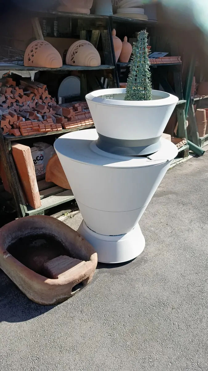 Un vaso bianco moderno in resina, con una pianta grassa