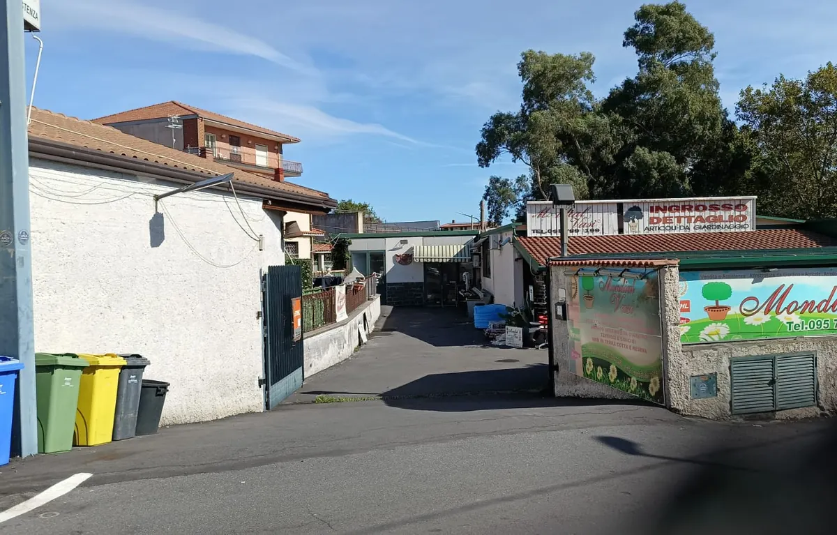Il vialetto d'ingresso di Via Verdina con l'insegna Mondial Vasi sul muro
